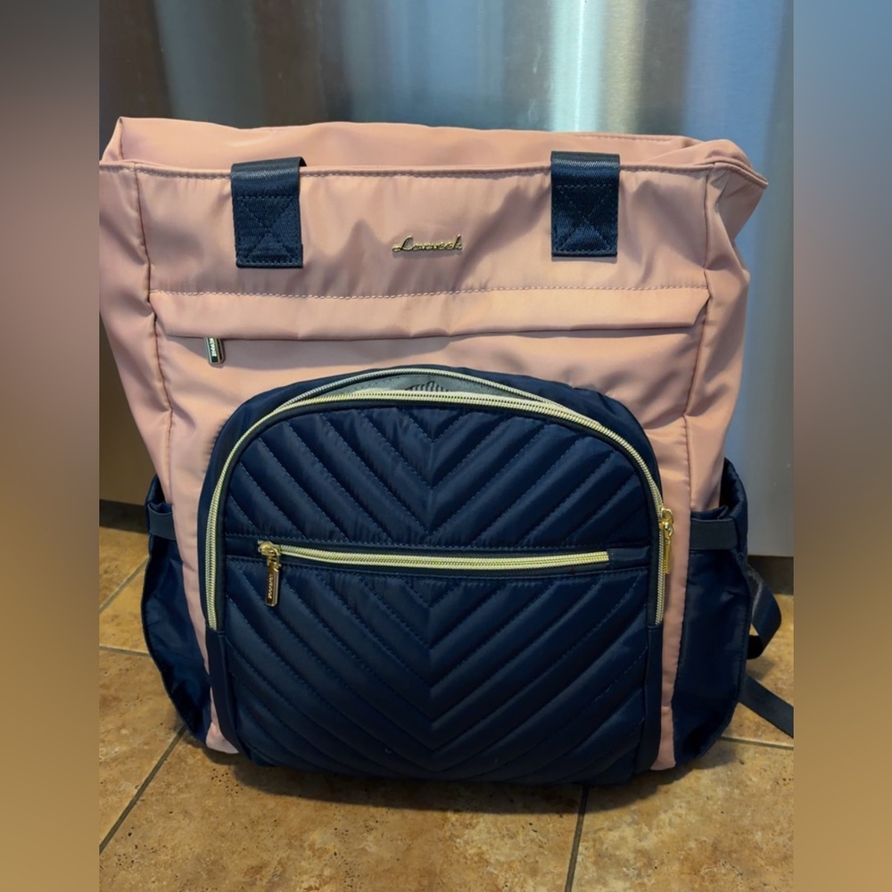 Stylish Pink and Blue Backpack